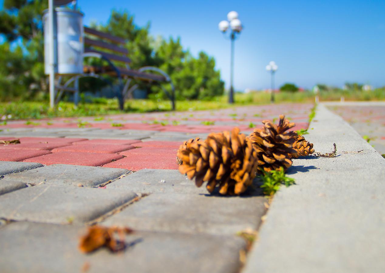 Hotel Promenad Zatoka Zewnętrze zdjęcie